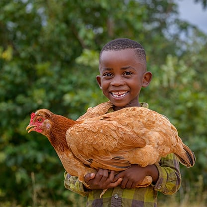 Child holding chicken from World Vision donation program